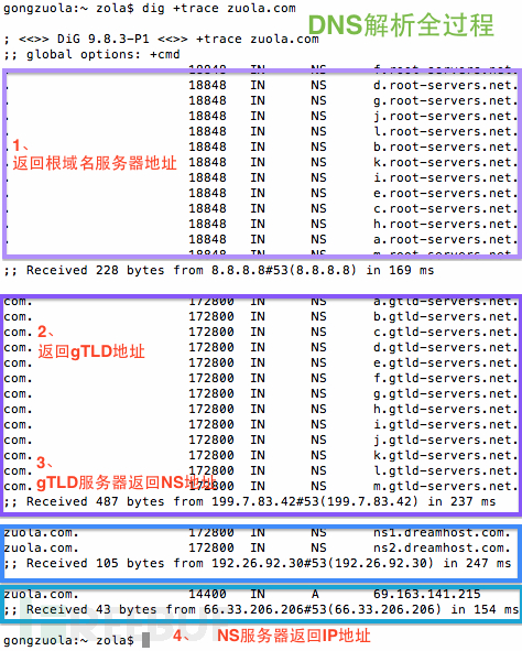 z-uoa.com_nslookup.png