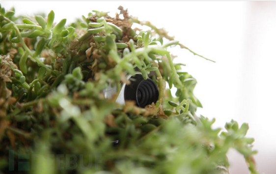 在开房时检查房间内有没有“偷窥摄像头”?-图片2