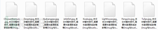 Clipboard Image.png