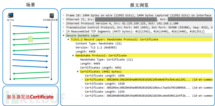 服务器发送Certificate