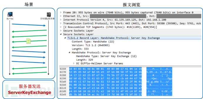服务器发送ServerKeyExchange