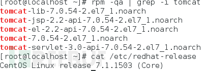 漏洞预警：基于RedHat发行的Apache Tomcat本地提权漏洞