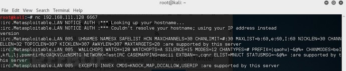 Metasploitable-2-netcat-unreal-ircd-2.jpg