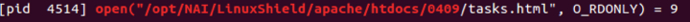 Clipboard Image.png
