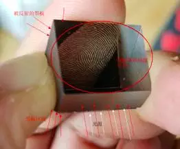 CMOS传感器看到的指纹成像