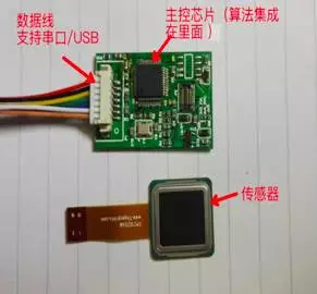 FPC 1020电容指纹传感模块（传感器+主控）