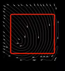 指纹图像的特征点提取结果