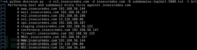 使用DNSRecon的基于字典的枚举