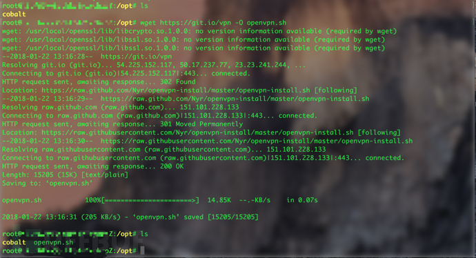 openVPN