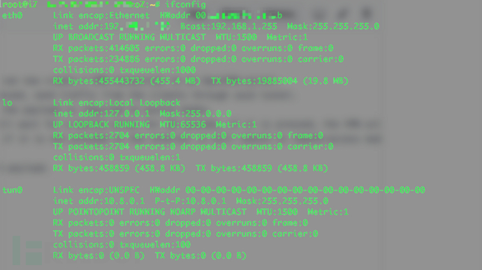 openVPN