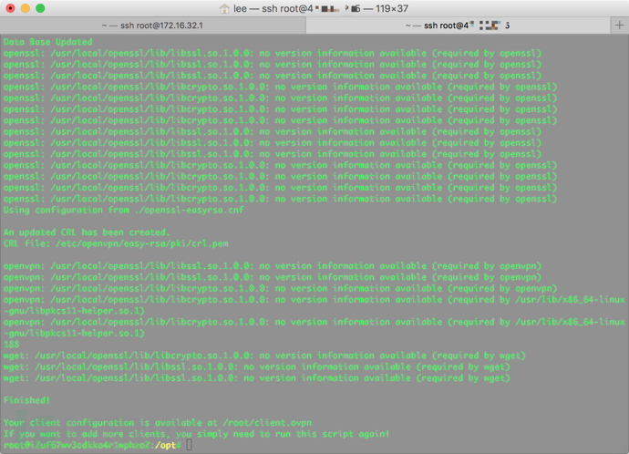 openVPN