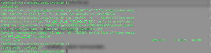 openVPN