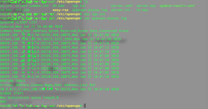 openVPN