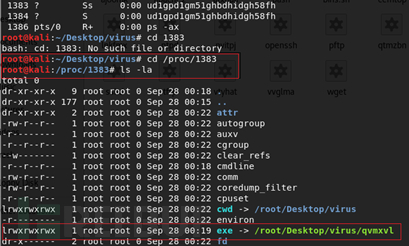 类linux环境下支持多协议的DDOS病毒分析
