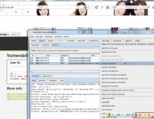 Burp Suite详细使用教程