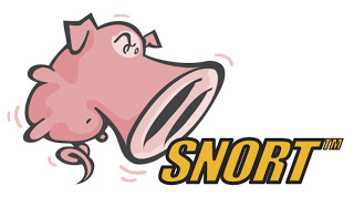 snort_logo