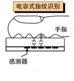 深度剖析:手机指纹的马奇诺防线