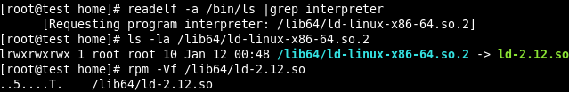 警惕利用Linux预加载型恶意动态链接库的后门-第9张图片-网盾网络安全培训