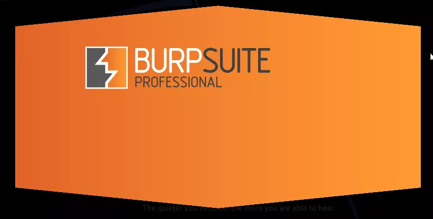 利用Burp Suite攻击Web应用-第1张图片-网盾网络安全培训