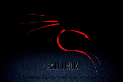 如何在kali Linux上创建一个用于隐藏文件的加密容器? 如何在kali Linux上创建一个用于隐藏文件的加密容器?