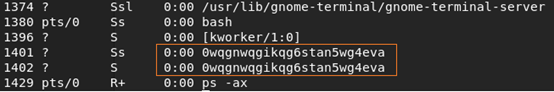 类linux环境下支持多协议的DDOS病毒分析