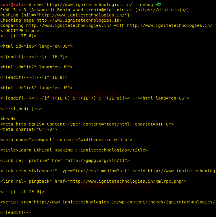 Kali Linux字典生成工具Cewl使用全指南-第9张图片-网盾网络安全培训