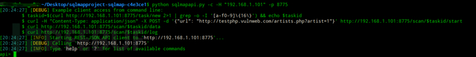 深入了解sqlmap_api