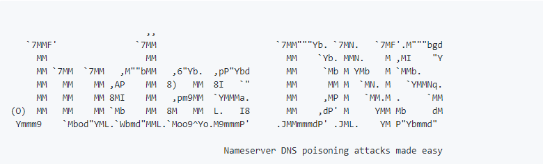 JudasDNS：域名服务器DNS投毒测试工具