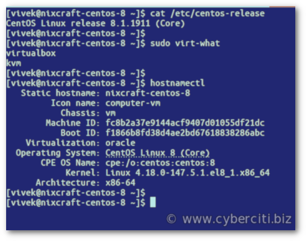 如何检测Linux Guest VM使用的哪种虚拟化技术-第5张图片-网盾网络安全培训