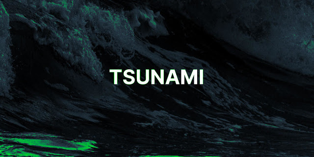 Tsunami：一款功能强大的通用网络安全扫描工具-第1张图片-网盾网络安全培训