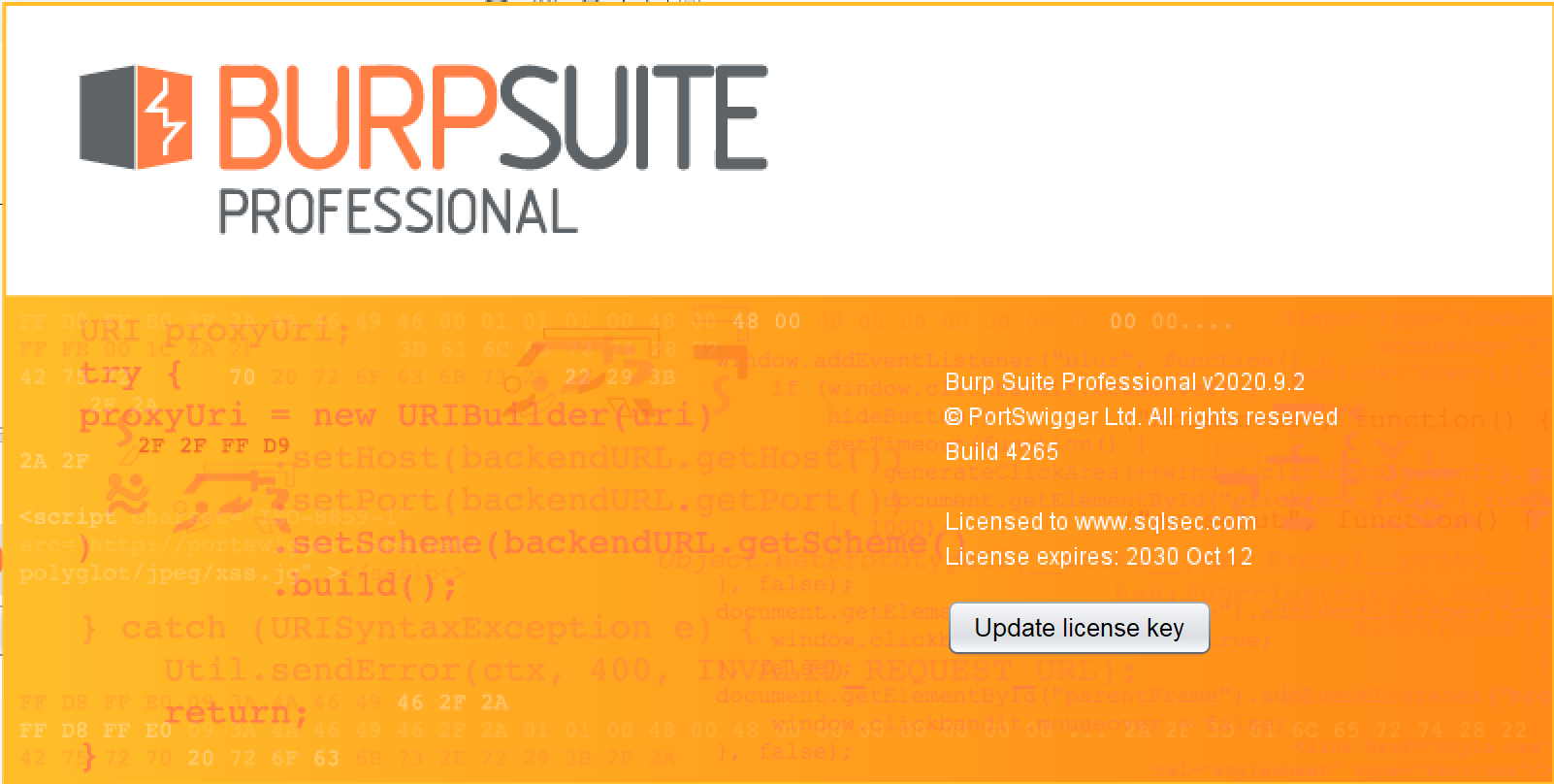 Windows 下如何优雅的使用 Burp Suite