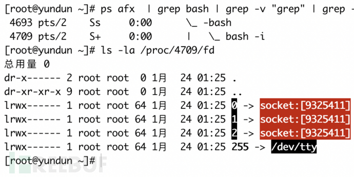 云上威胁检测 详解反弹shell多维检测技术 Freebuf网络安全行业门户