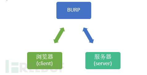 使用burp的结构