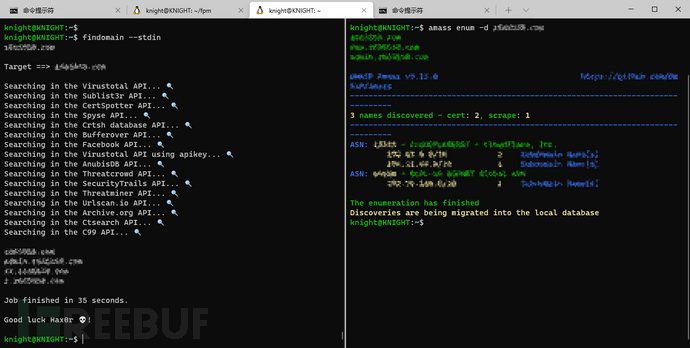 cmd-enum-subdomain