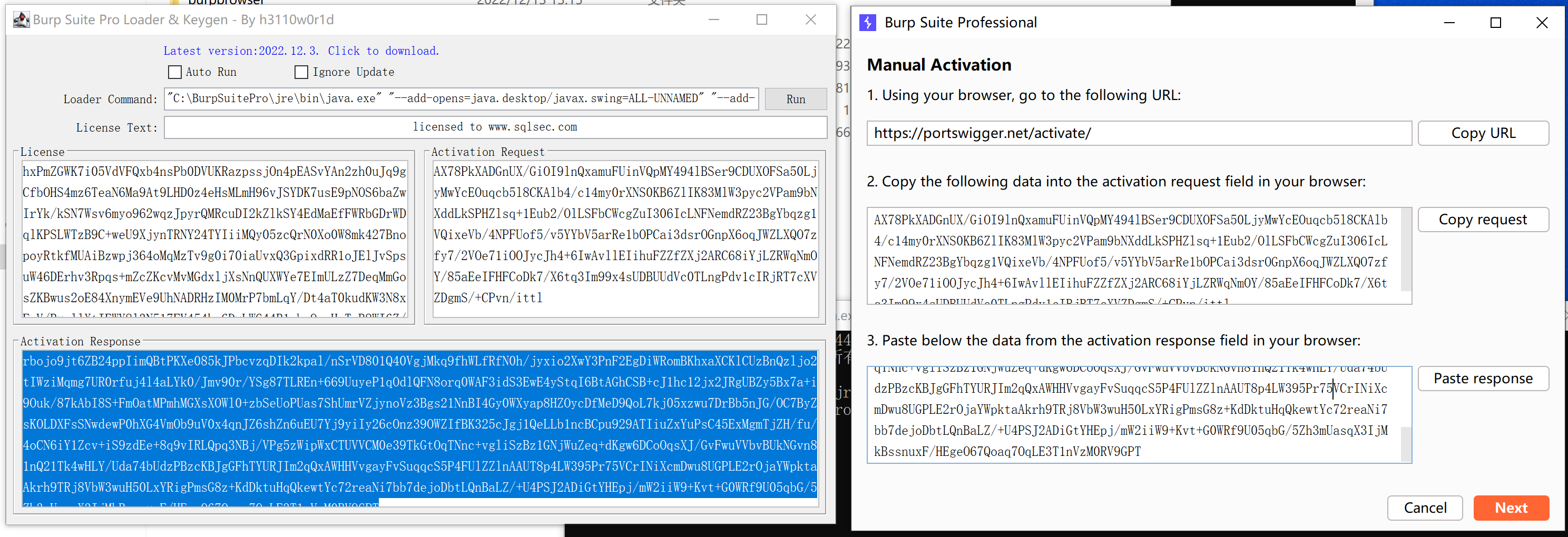 Windows 下如何优雅的使用 Burp Suite