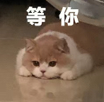 1693289712_64ed8cf02026e500c033a.png!small?1693289712490