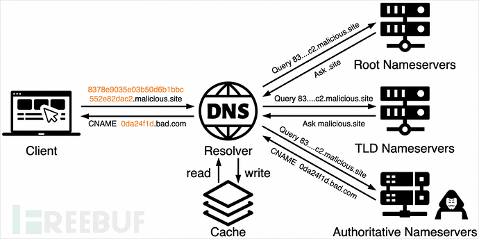 dns-overview.png