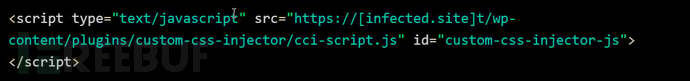 Injected JavaScript script