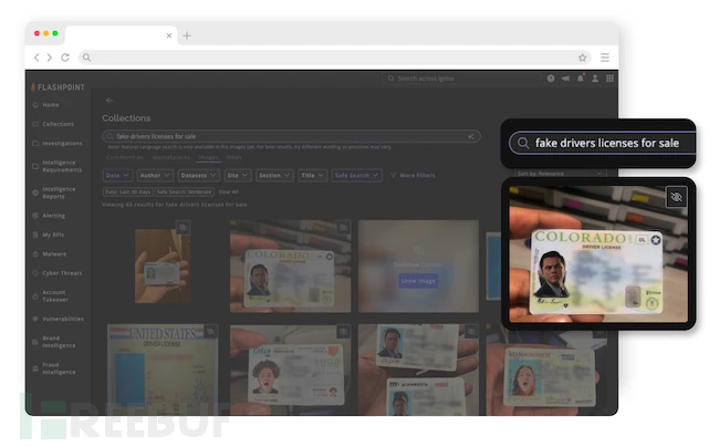 Flashpoint Ignite 欺诈监测模块