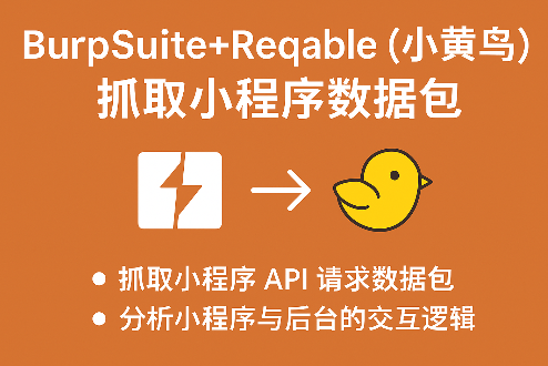 Burpsuite+Reqable（小黄鸟）抓取小程序数据包