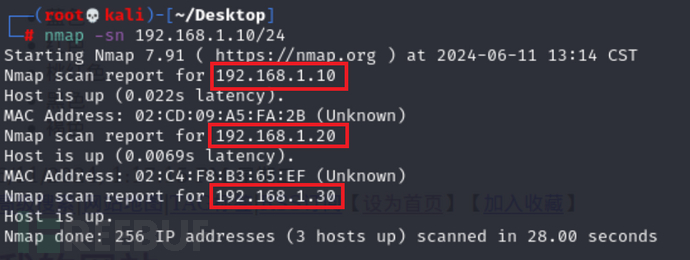 image-20240611131852727