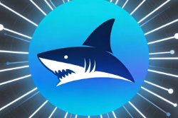深入浅出Wireshark过滤规则