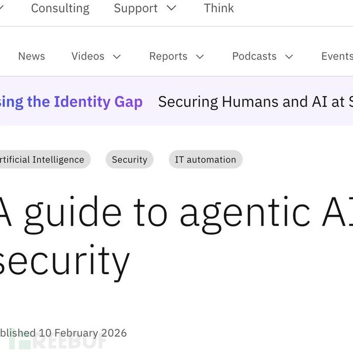 智能体安全落地四原则-《智能体安全指南》（IBM，2026.2)